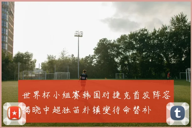 世界杯小组赛韩国对捷克首发阵容揭晓中超独苗朴镇燮待命替补