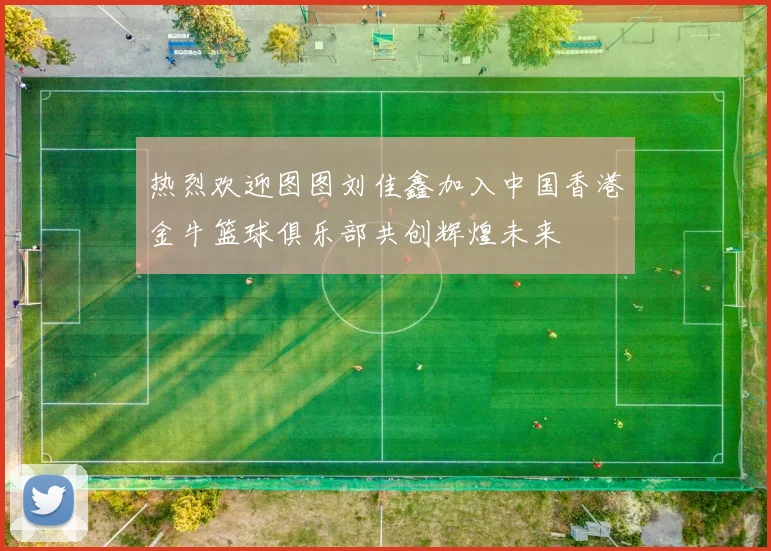 热烈欢迎图图刘佳鑫加入中国香港金牛篮球俱乐部共创辉煌未来